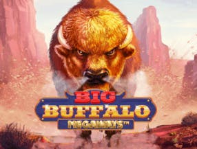 game logo by Skywind Group on trickzcasinoo.fr