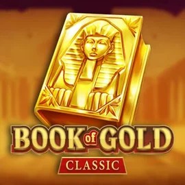 game logo by Playson on trickzcasinoo.fr